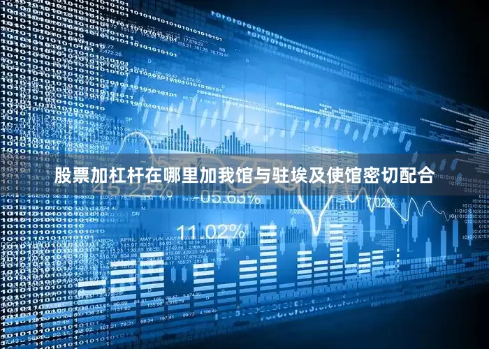 股票加杠杆在哪里加我馆与驻埃及使馆密切配合