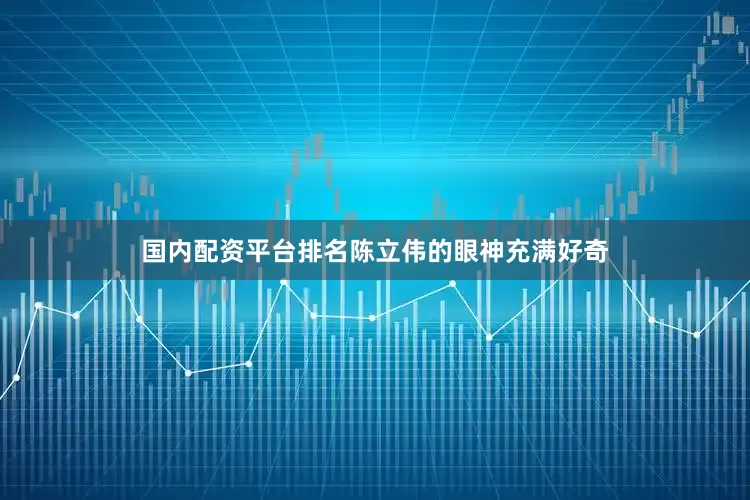 国内配资平台排名陈立伟的眼神充满好奇