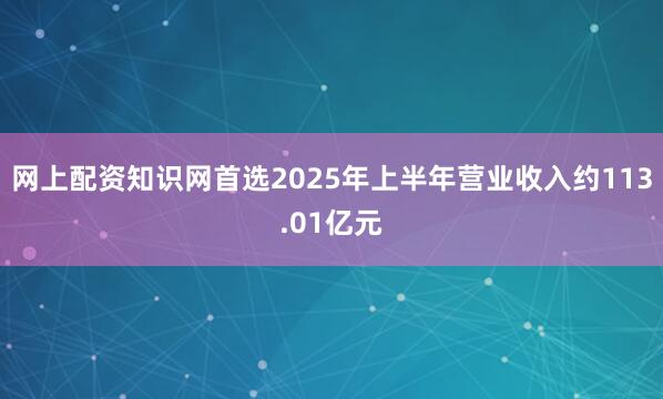 网上配资知识网首选2025年上半年营业收入约113.01亿元
