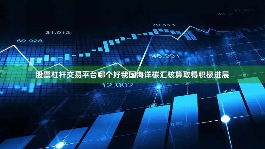 股票杠杆交易平台哪个好我国海洋碳汇核算取得积极进展